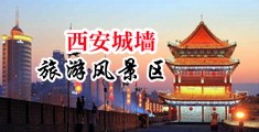 肛交淫穴寡妇呻吟中国陕西-西安城墙旅游风景区