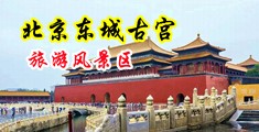 美女写真福利导航中国北京-东城古宫旅游风景区
